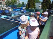 Celodenní výlet Mnichovo Hradiště